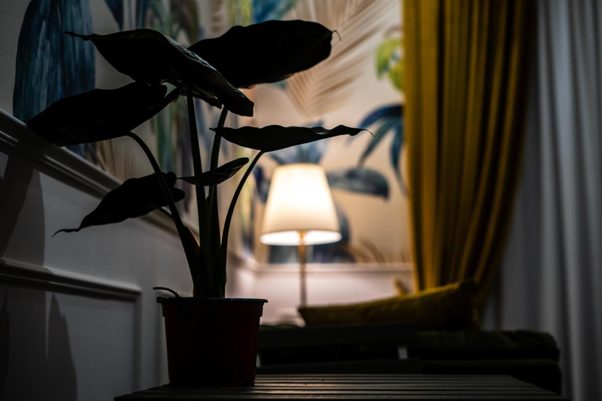 La Grande Bellezza Bed and Breakfast Napoli Eksteriør billede